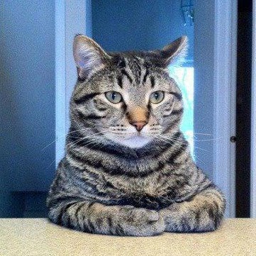 Julian Wood Photo 33