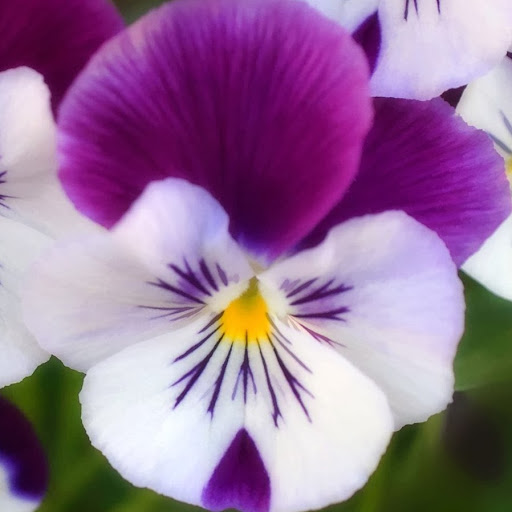 Kathryn Lester Photo 32