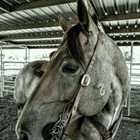 Kathy Epperson Photo 22