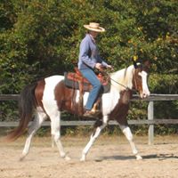 Michele Creech Photo 3