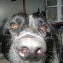 Dorothy Myers Photo 3