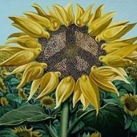 Carla Fitch Photo 11