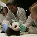 Steven Tai Photo 7
