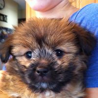 Sharon Lindquist Photo 19