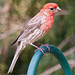 Marvin Finch Photo 3
