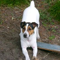 Janice Sharpe Photo 17