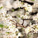 Bonnie Bradford Photo 14
