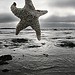 Deborah Weiss Photo 31