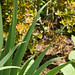 Michelle Wing Photo 38
