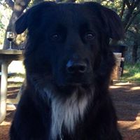 Marnie Lucas Photo 4