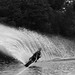 Suzanne Shields Photo 25