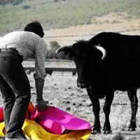 Roger Martell Photo 8