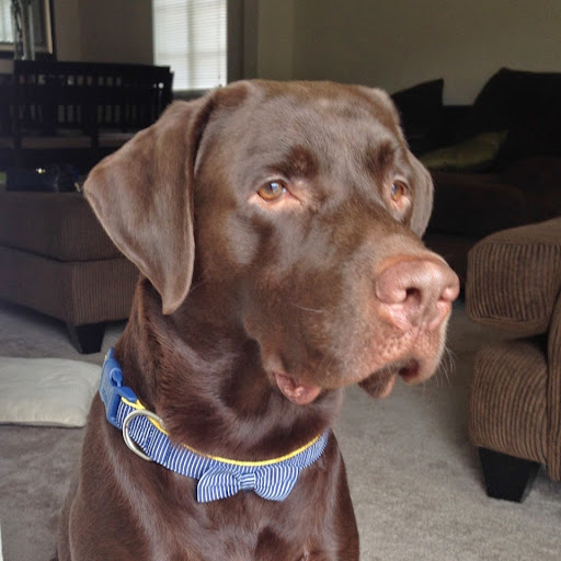 Kristina Morgan Photo 19