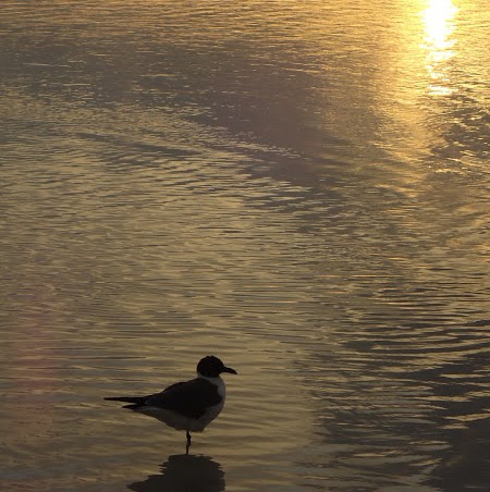 Shelly Summers Photo 2