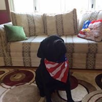 Cynthia Bond Photo 24