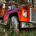 Jean Vaughn Photo 12