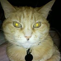 Jessica Santistevan Photo 3