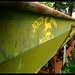 John Moline Photo 5