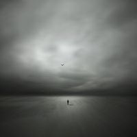 Dan Finch Photo 15
