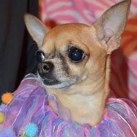 Jennifer Shell Photo 15