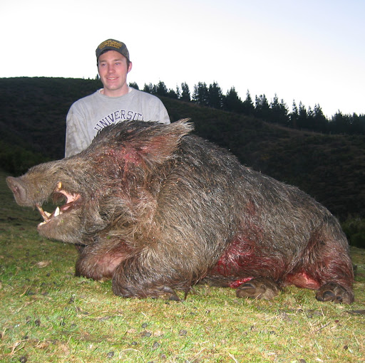 David Timm Photo 10 David Timm Photo 10