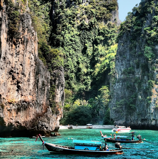 Stephanie Hutchinson Photo 18