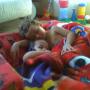 Maria Hinton Photo 14