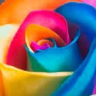 Meredith Thompson Photo 14