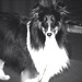 Nancy Abercrombie Photo 27
