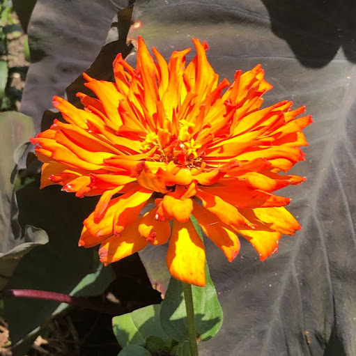 Lindsey Vance Photo 6