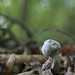 Debra Gray Photo 24
