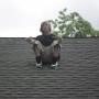 Steven Goetz Photo 28