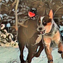 Jill Barnes Photo 35