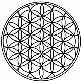 Benjamin Salomon Photo 17