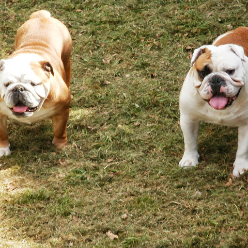 Steven Draper Photo 28