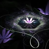 Ellen Rogers Photo 15