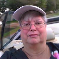 Susan Sander Photo 17