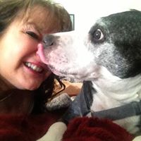 Ann Havens Photo 2