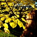Michelle Finch Photo 42