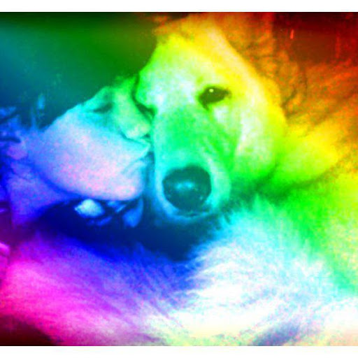 Shannon Kerr Photo 23