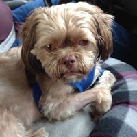 Margaret Gilbert Photo 32 Margaret Gilbert Photo 32