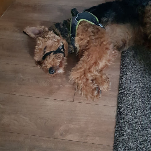 Paul Burnett Photo 49 Paul Burnett Photo 49