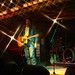 Robyn Robison Photo 8