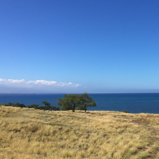 Katherine Bohn Photo 9