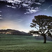 Misty Cornish Photo 9