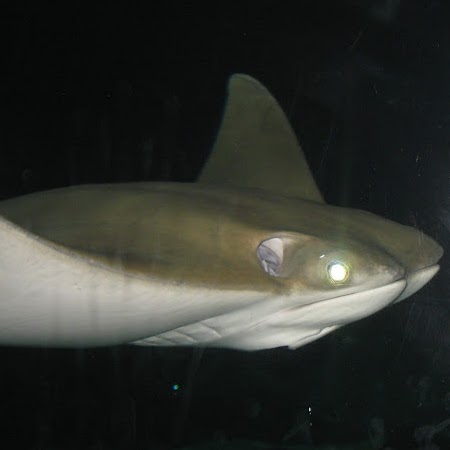 Teresa Mclean Photo 12