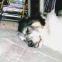 Teresa Becker Photo 17