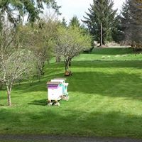 Kerry Walsh Photo 28