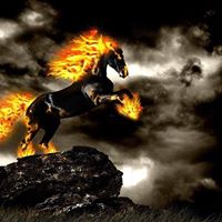 Jacob Short Photo 11