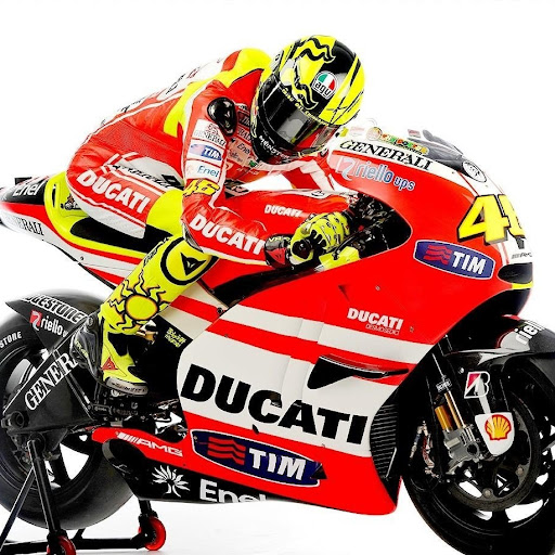 Sue Lewis Photo 38 Sue Lewis Photo 38